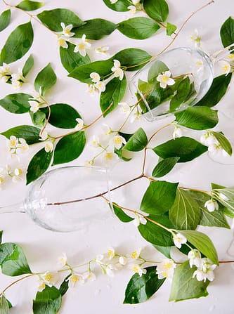 Jasmine Essential Oil for Aromatherapy